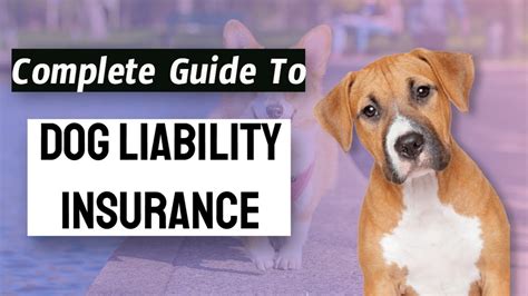 dog liability insurance texas.